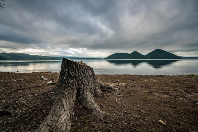 哀愁フォトグラファーの自分が洞爺湖を撮るとこうなります笑

洞爺湖が支笏湖みたいです😂

2022年6月撮影
location:#洞爺湖

#lake
#切株
#初夏
#北海道
#湖
#リフレクション
#哀愁写真
#風景写真
#ファインダー越しの私の世界
#カメラ好きな人と繋がりたい
#写真好きな人と繋がりたい
#写真撮ってる人と繋がりたい
#hokkaido
#広がり同盟
#絶景
#visitjapanjp
#東京カメラ部
#tokyocameraclub
#sorrow
#landscape
#ソニー
#sony
#いつまでも残したい風景
#raw現像
#哀愁フォトグラファー
#けしからん風景
#夏
#哀愁