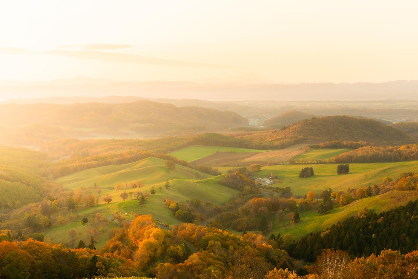 先週訪れた北見の本沢牧場🐄

札幌から約4時間半！
1時に出発して遠い道のりでしたが、この景色を見たら疲れも眠気も吹っ飛びました！
めちゃ久しぶりに心踊る撮影ができました😂

左から上がってきた朝日が眩しかった〜☀︎

撮影日:2022.10.22
撮影場所:本沢牧場

#北見
#本沢牧場
#太陽
#北海道
#sun
#晩秋
#tree
#秋晴れ
#ファインダー越しの私の世界
#カメラ好きな人と繋がりたい
#写真好きな人と繋がりたい
#写真撮ってる人と繋がりたい
#hokkaido
#広がり同盟
#絶景
#visitjapanjp
#東京カメラ部
#tokyocameraclub
#秋色
#landscape
#ソニー
#sony
#いつまでも残したい風景
#raw現像
#哀愁フォトグラファー
#けしからん風景
#autumn
#秋
#紅葉